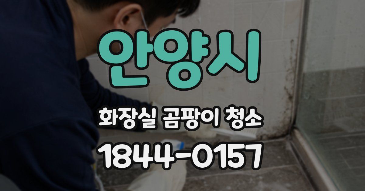 안양시 화장실 곰팡이 청소