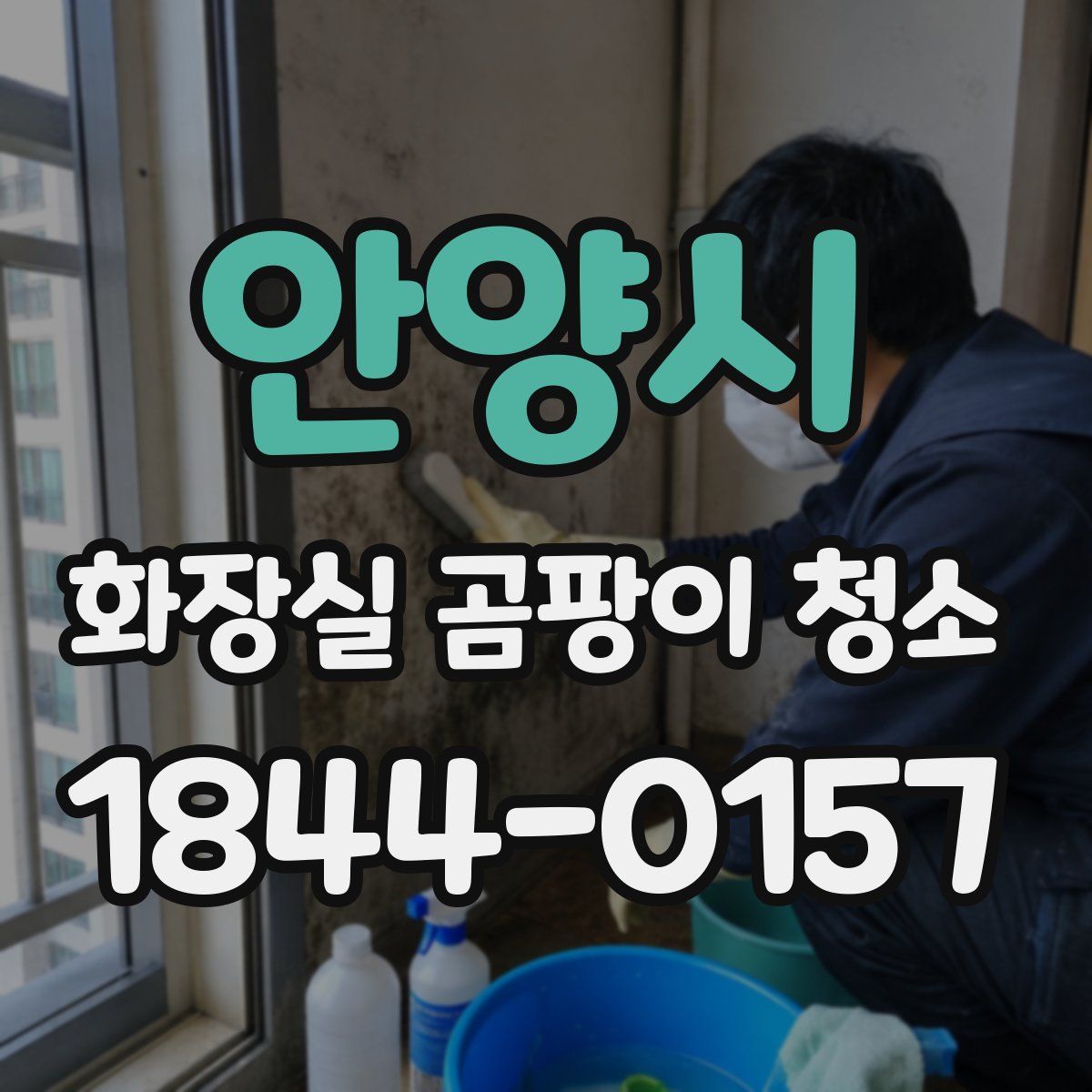 안양시 화장실 곰팡이 청소
