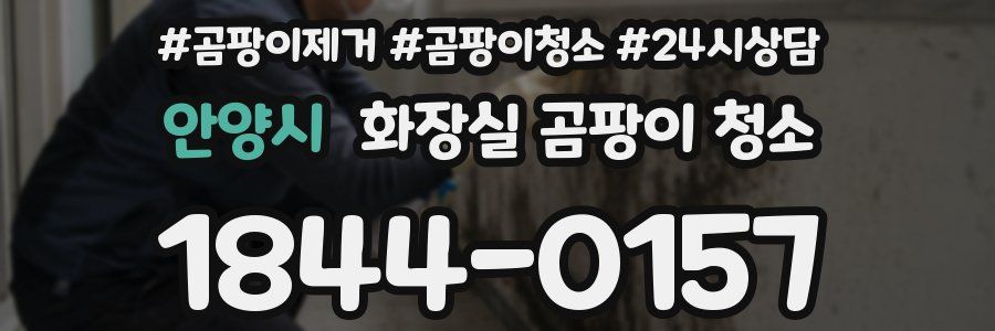 안양시 화장실 곰팡이 청소