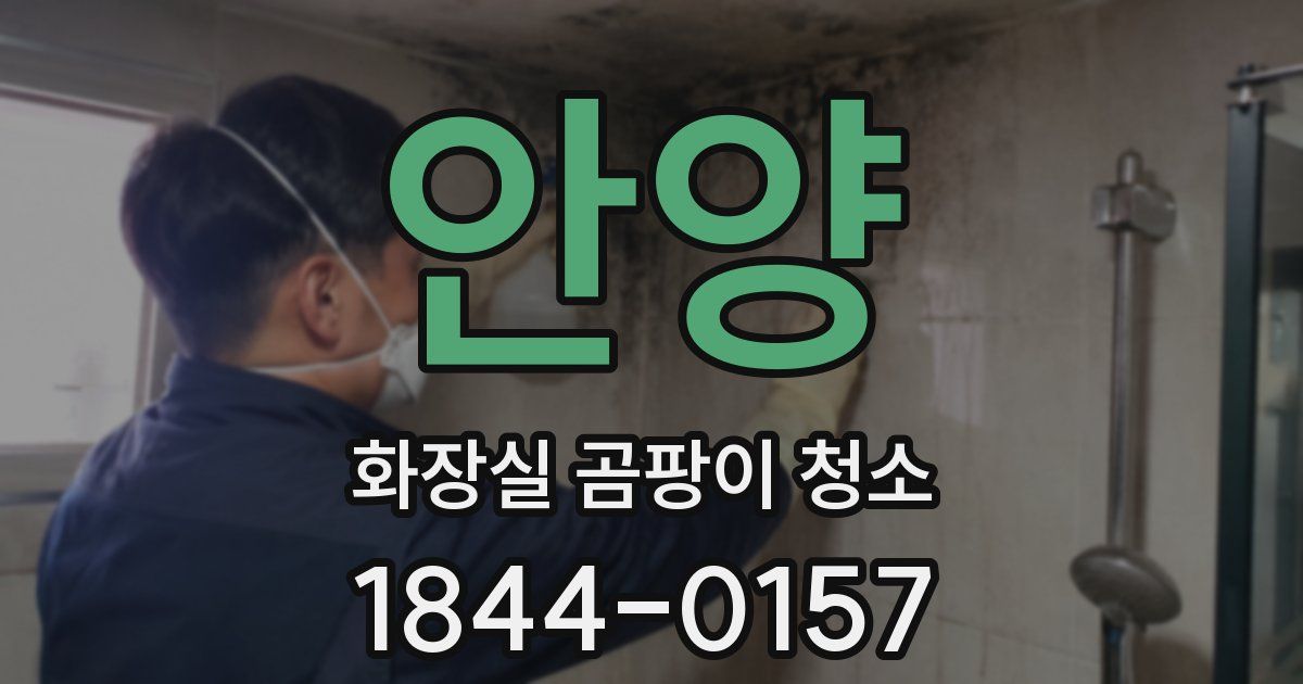 안양 화장실 곰팡이 청소