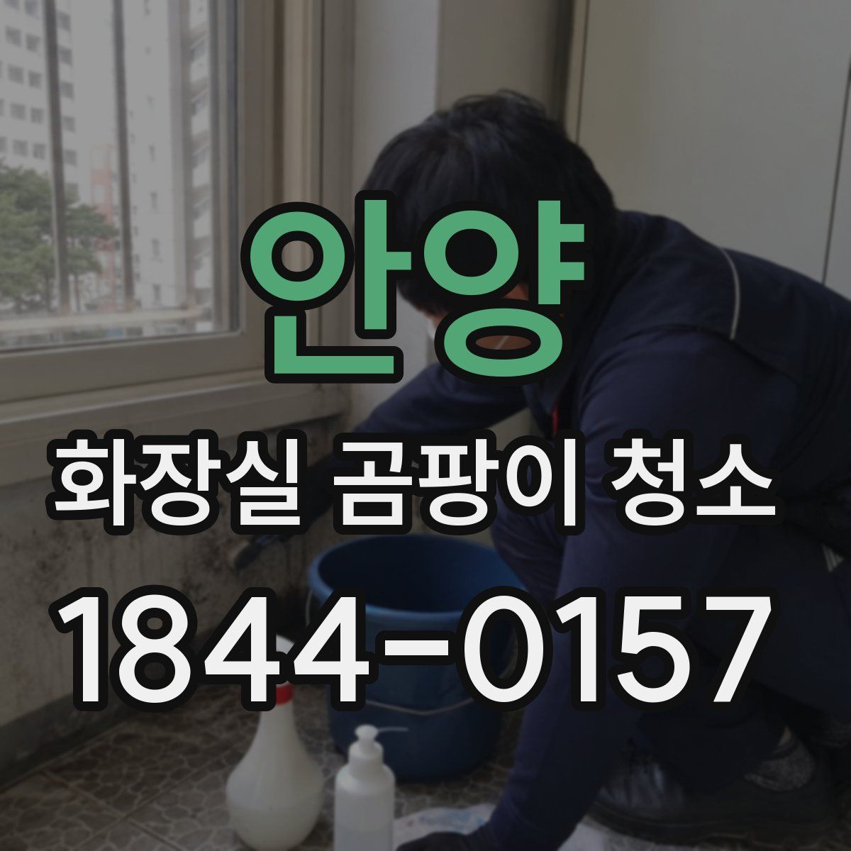 안양 화장실 곰팡이 청소