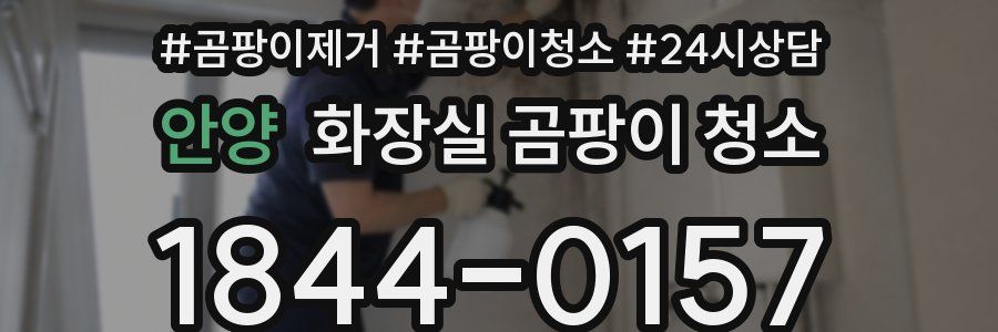 안양 화장실 곰팡이 청소