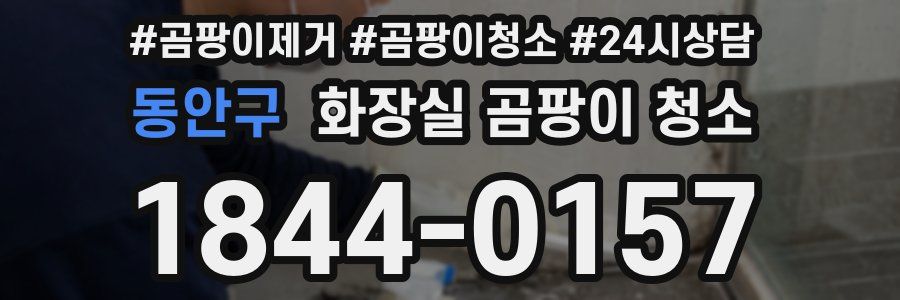 동안구 화장실 곰팡이 청소