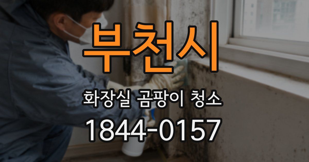 부천시 화장실 곰팡이 청소