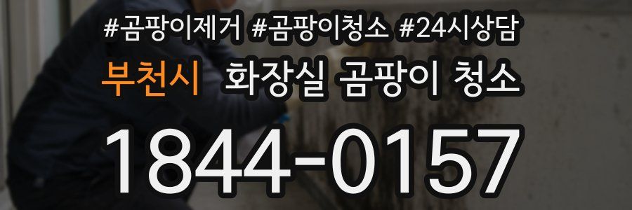 부천시 화장실 곰팡이 청소