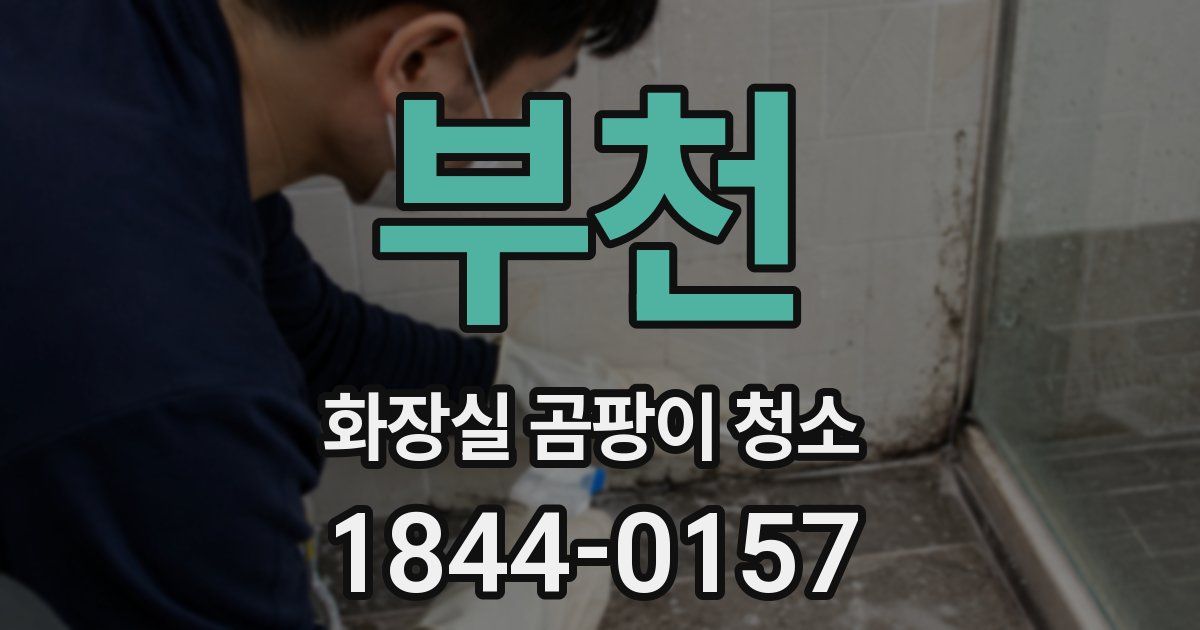 부천 화장실 곰팡이 청소