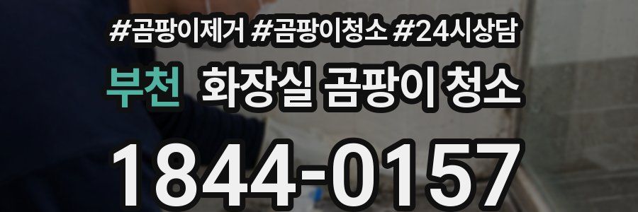 부천 화장실 곰팡이 청소