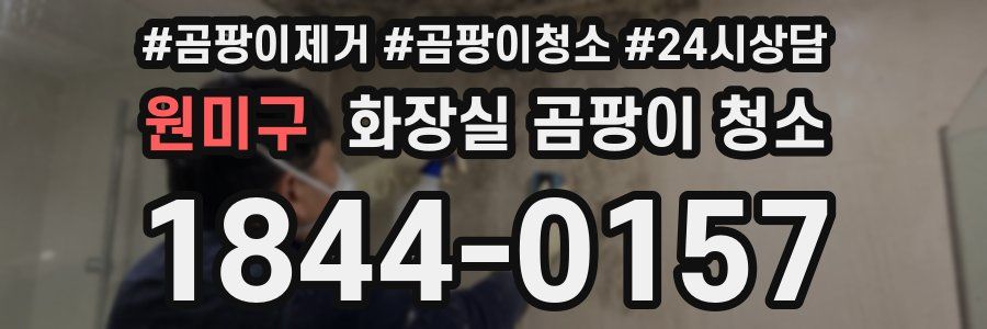 원미구 화장실 곰팡이 청소