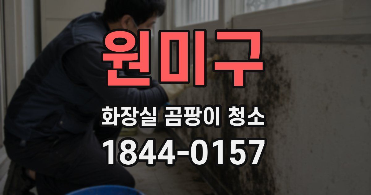 원미구 화장실 곰팡이 청소