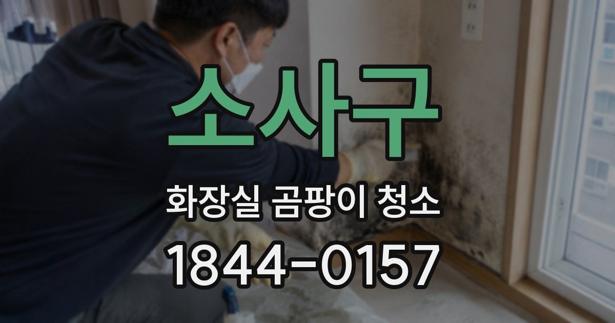 소사구 화장실 곰팡이 청소