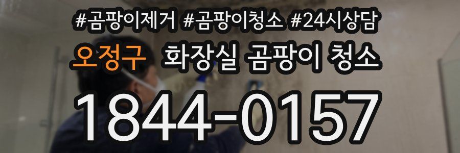 오정구 화장실 곰팡이 청소