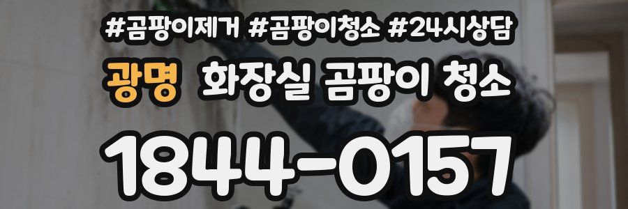광명 화장실 곰팡이 청소