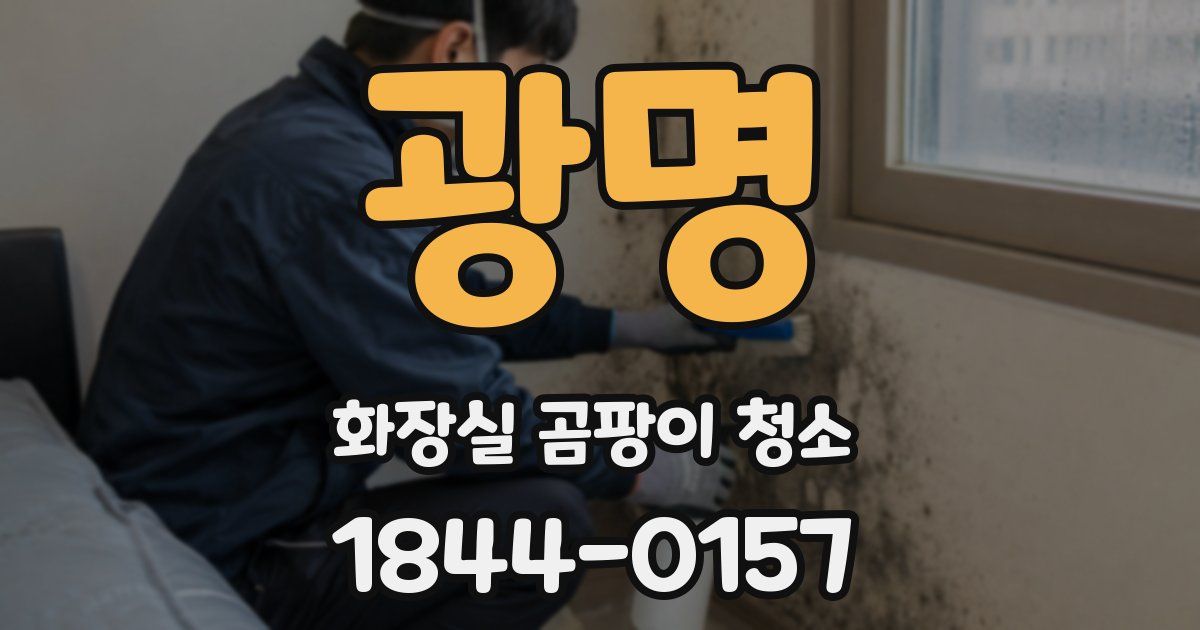 광명 화장실 곰팡이 청소