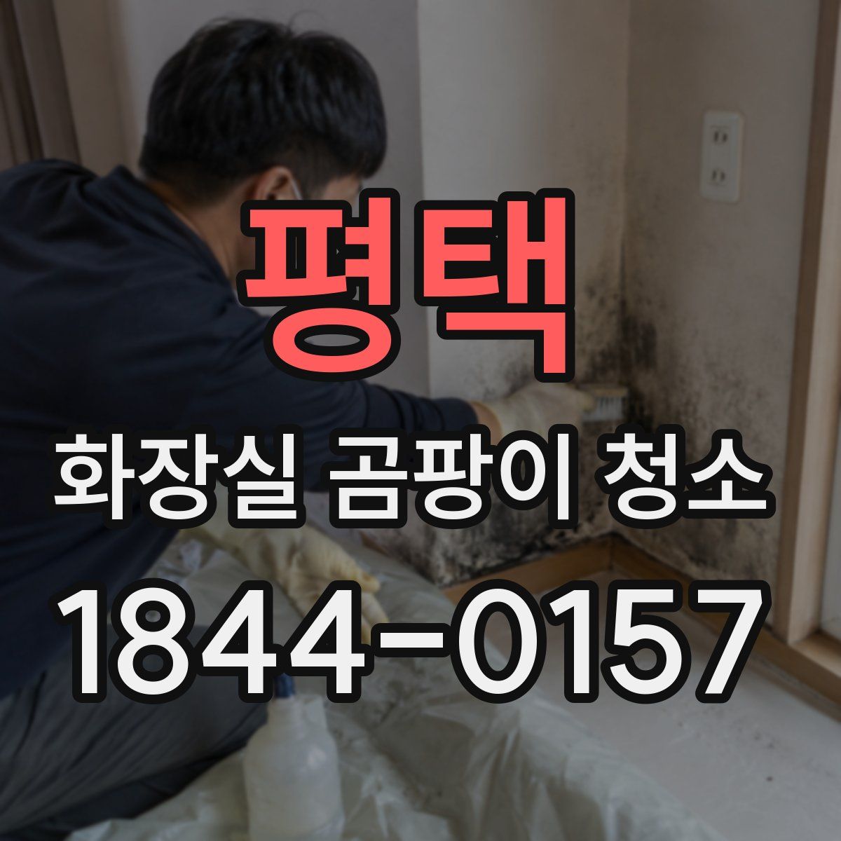 평택 화장실 곰팡이 청소