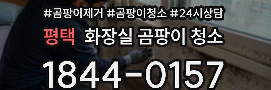 평택 화장실 곰팡이 청소