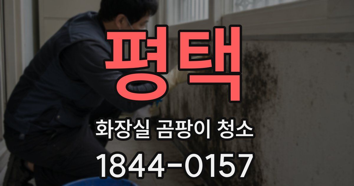 평택 화장실 곰팡이 청소