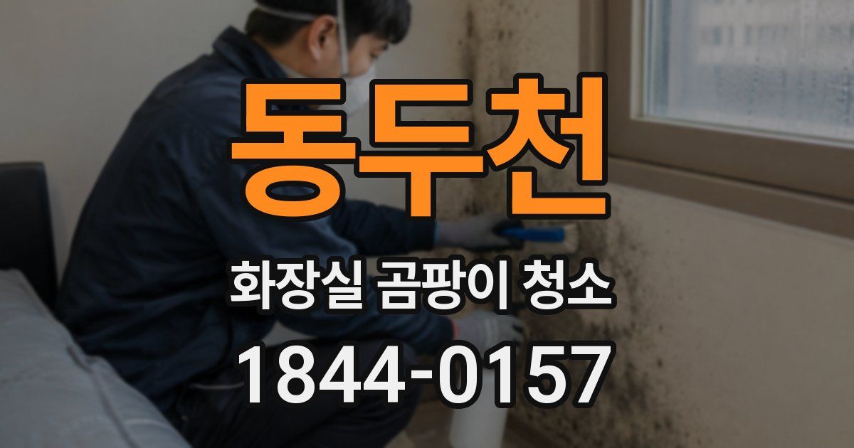 동두천 화장실 곰팡이 청소