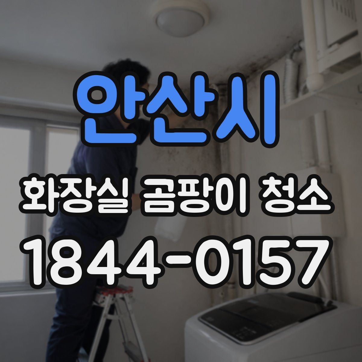 안산시 화장실 곰팡이 청소 거품형 세정제가 잘 맞는 구간 알아보기