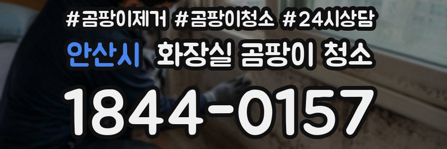 안산시 화장실 곰팡이 청소