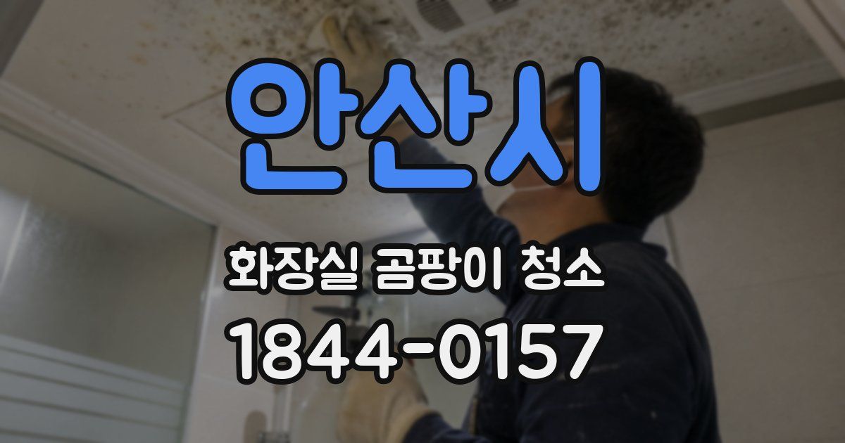안산시 화장실 곰팡이 청소