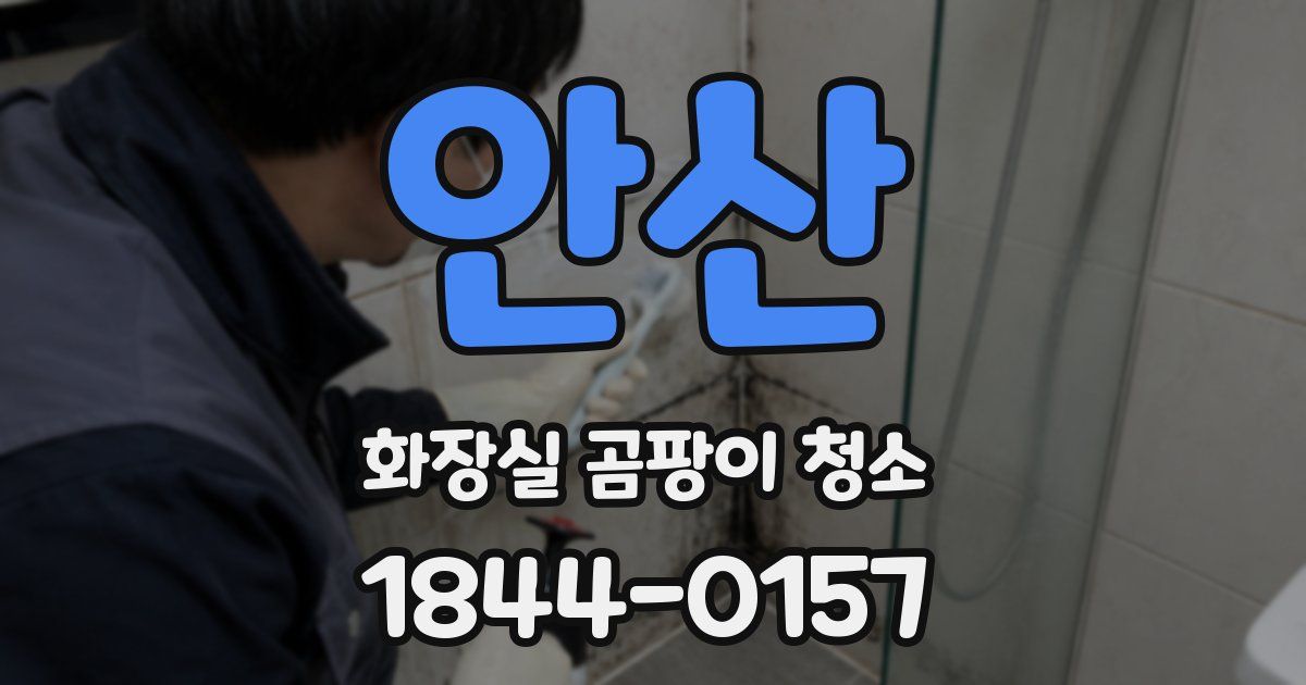 안산 화장실 곰팡이 청소