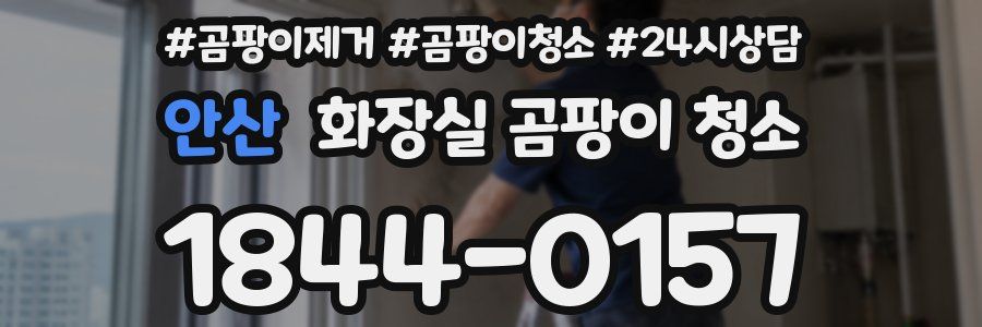 안산 화장실 곰팡이 청소