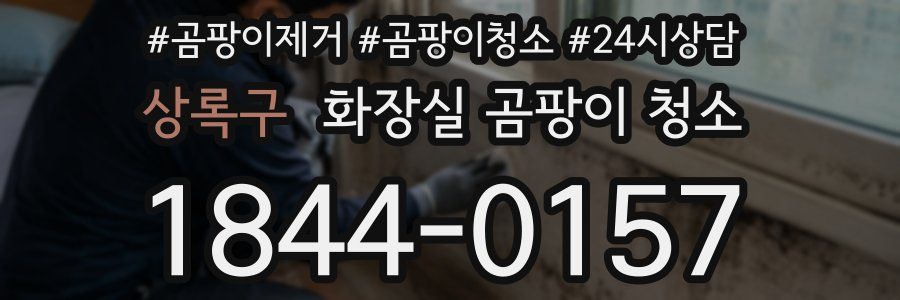 상록구 화장실 곰팡이 청소