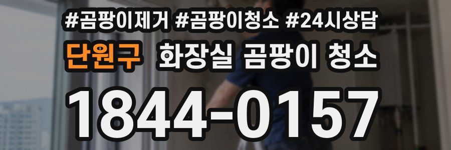 단원구 화장실 곰팡이 청소