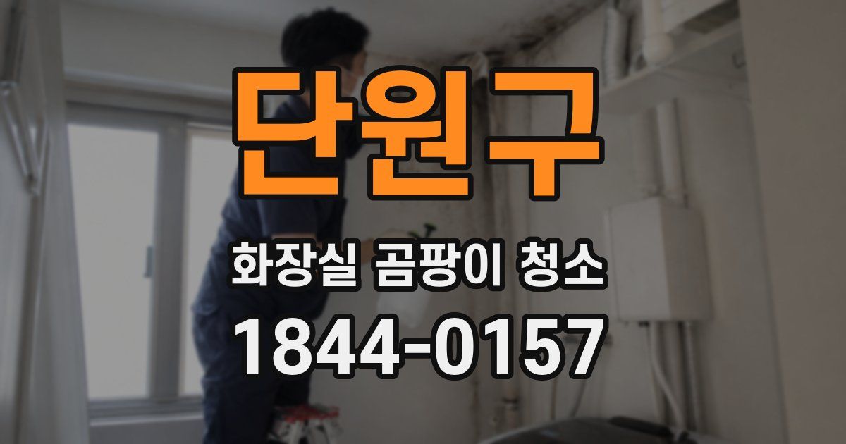 단원구 화장실 곰팡이 청소