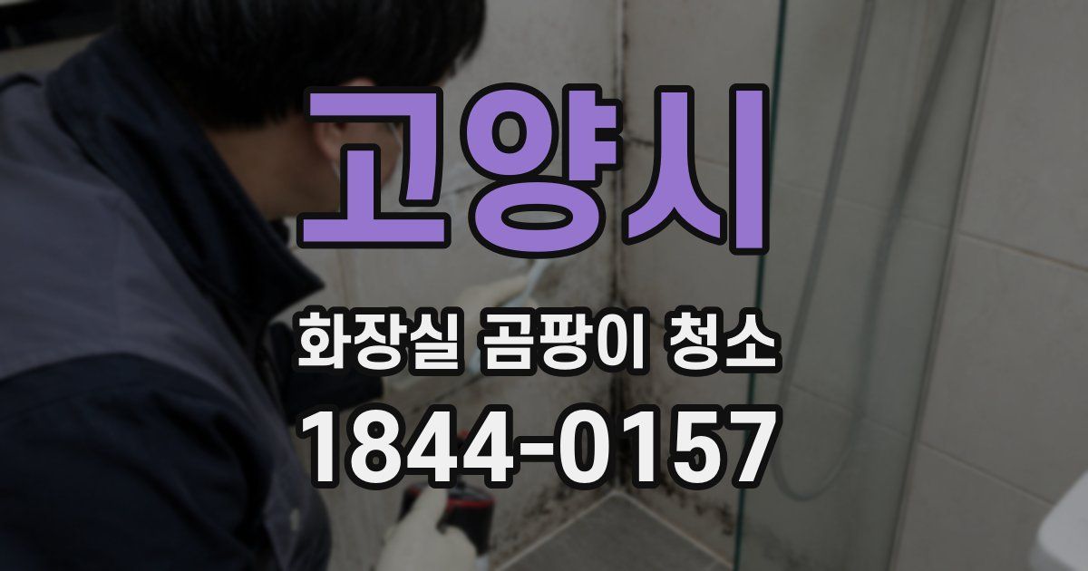 고양시 화장실 곰팡이 청소