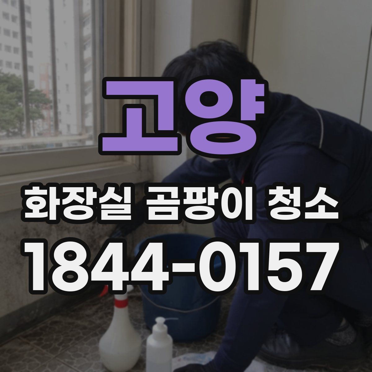 고양 화장실 곰팡이 청소 거품형 세정제를 써보기 좋은 상황