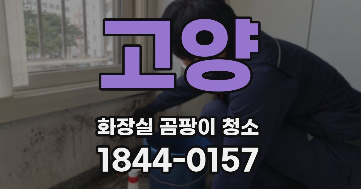 고양 화장실 곰팡이 청소