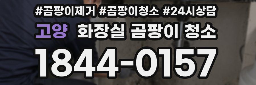 고양 화장실 곰팡이 청소