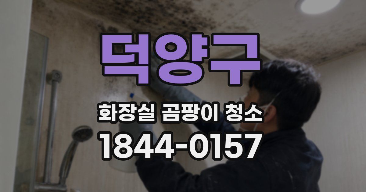덕양구 화장실 곰팡이 청소