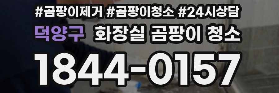 덕양구 화장실 곰팡이 청소