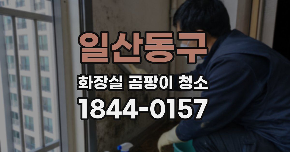 일산동구 화장실 곰팡이 청소