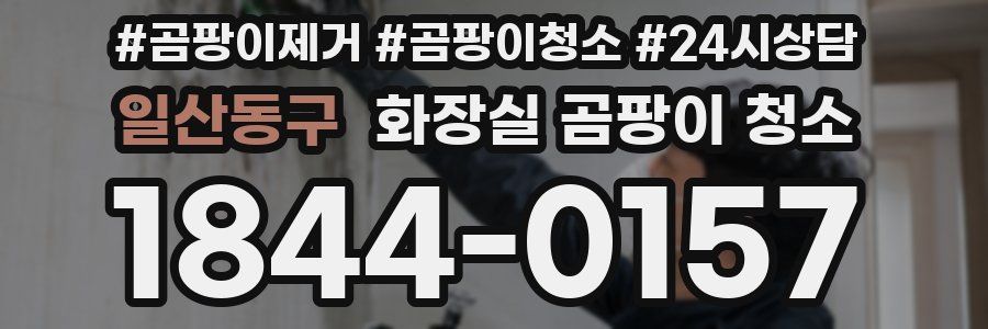 일산동구 화장실 곰팡이 청소