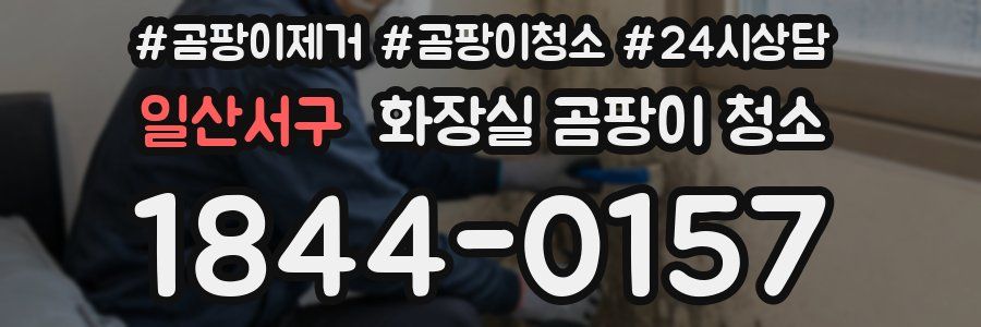 일산서구 화장실 곰팡이 청소