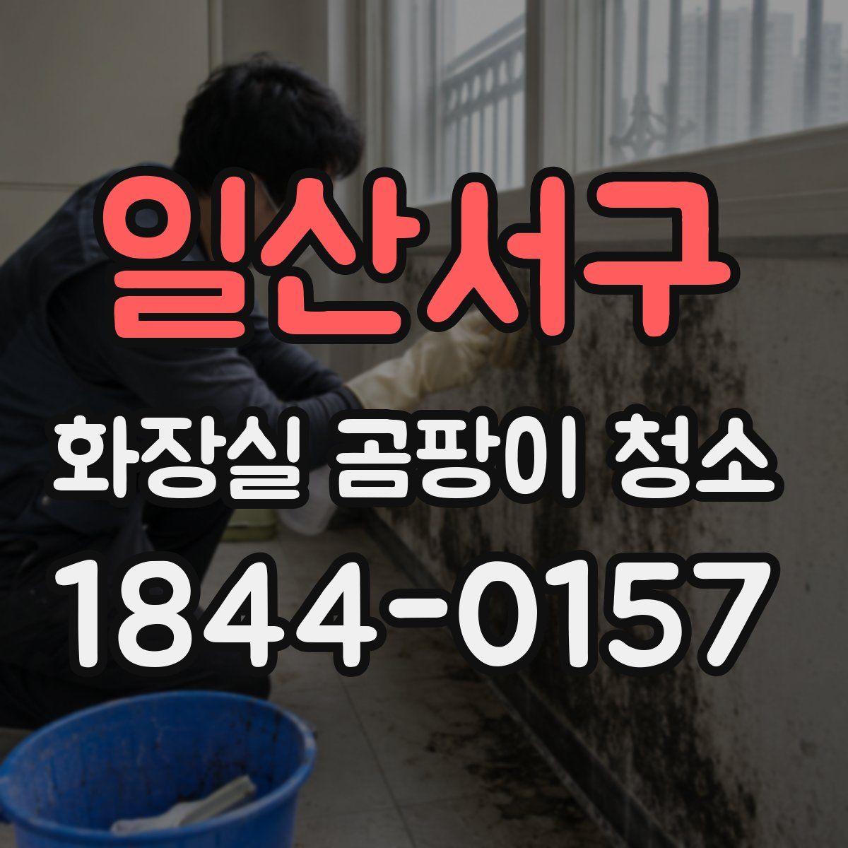 일산서구 화장실 곰팡이 청소