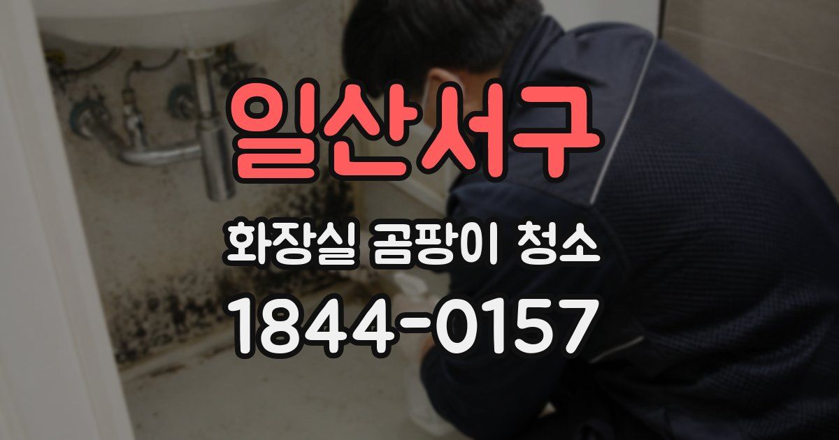일산서구 화장실 곰팡이 청소