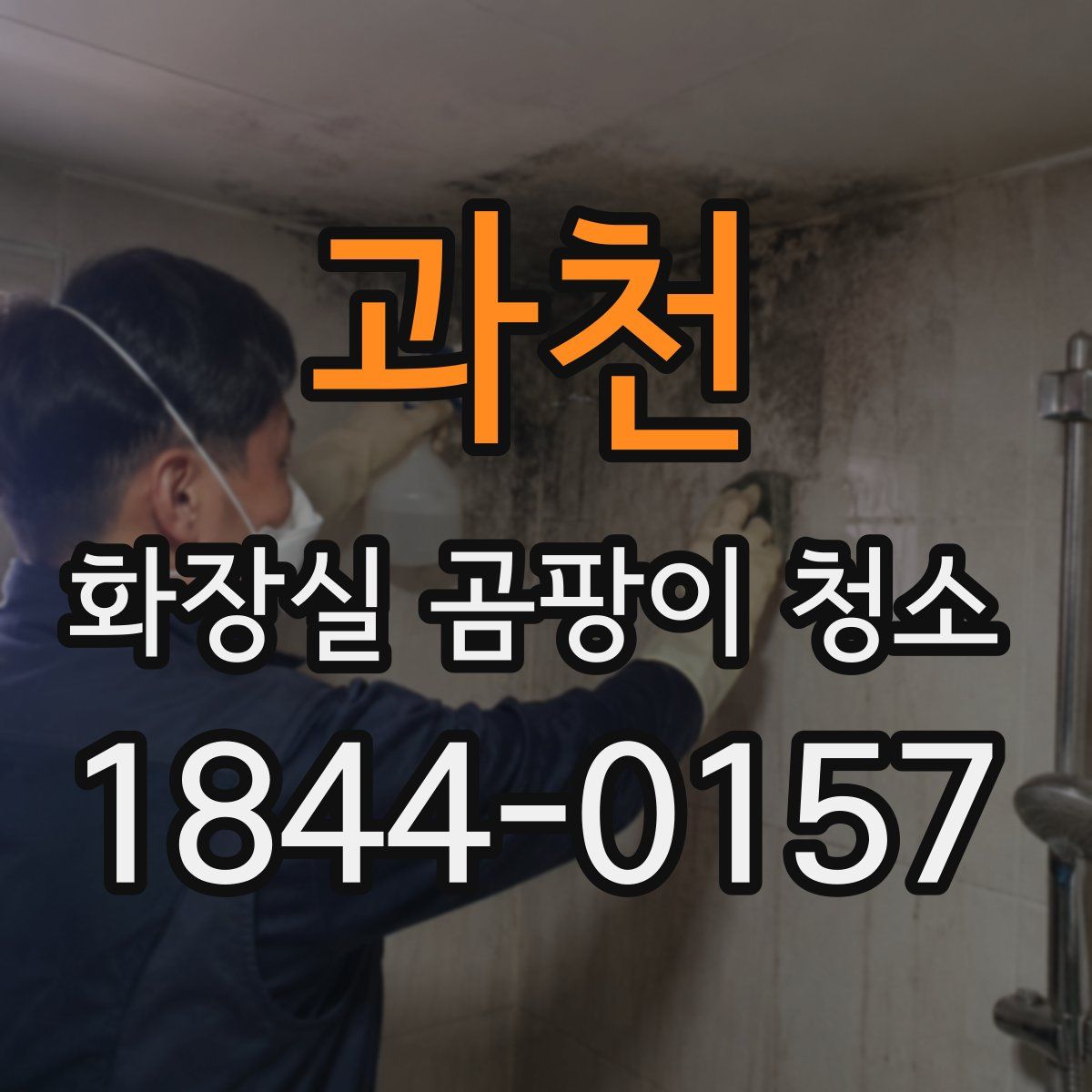 과천 화장실 곰팡이 청소