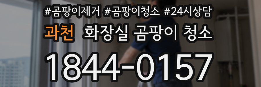 과천 화장실 곰팡이 청소