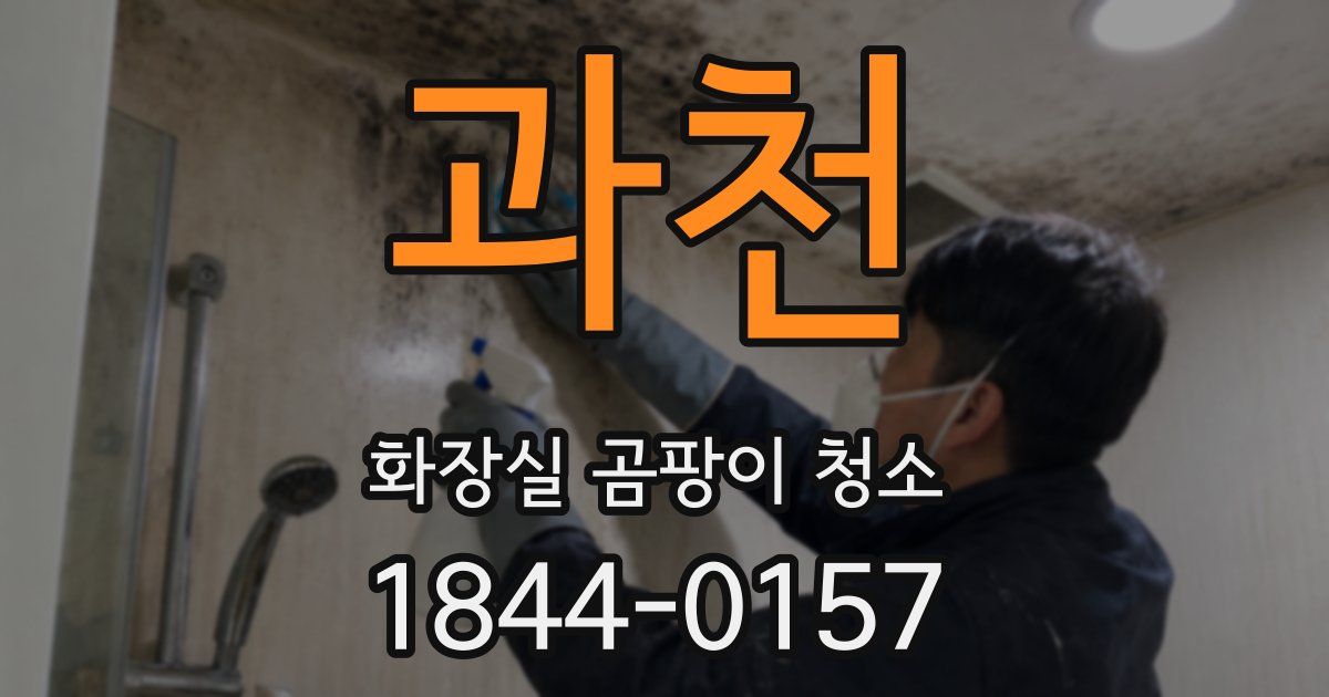 과천 화장실 곰팡이 청소
