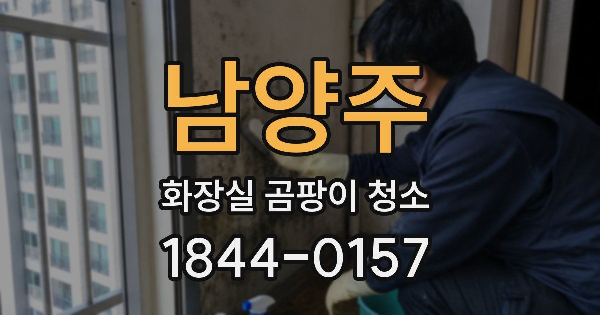 남양주 화장실 곰팡이 청소