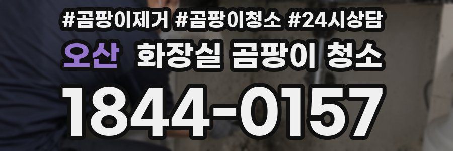 오산 화장실 곰팡이 청소