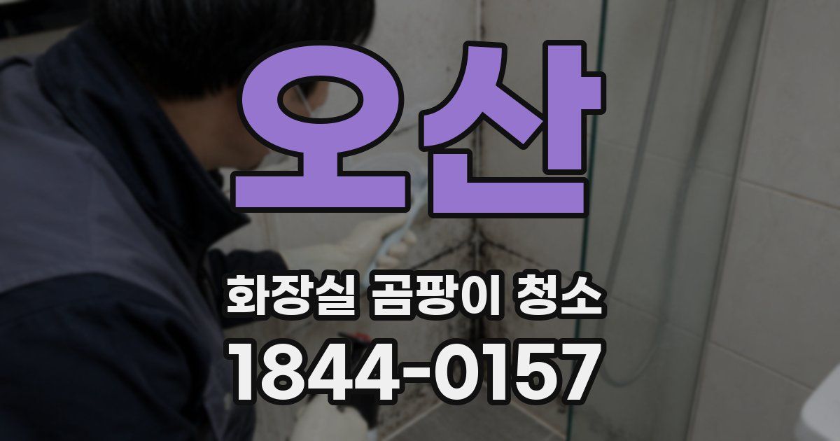 오산 화장실 곰팡이 청소