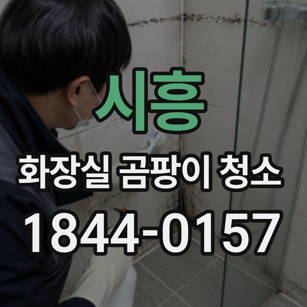 시흥 화장실 곰팡이 청소