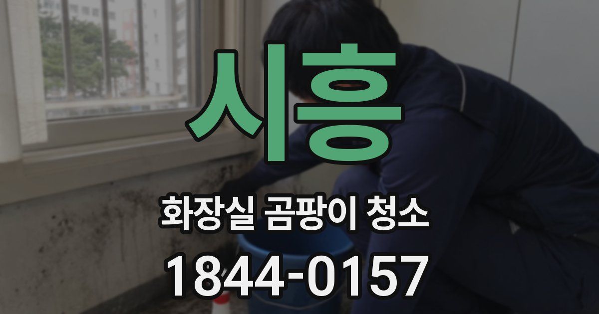 시흥 화장실 곰팡이 청소