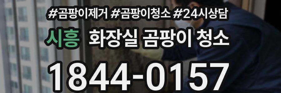 시흥 화장실 곰팡이 청소