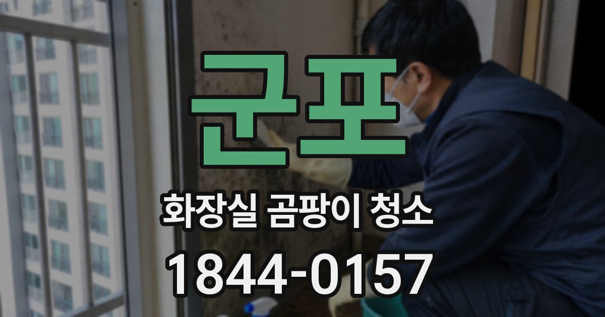 군포 화장실 곰팡이 청소